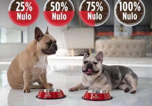 10 Best Dog Food for French Bulldogs 1 best dog food for french bulldogs