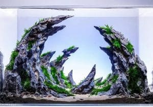 10 Best Rimless Aquariums 1 best rimless aquariums