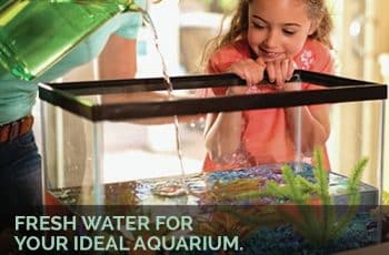 aquarium rodi systems