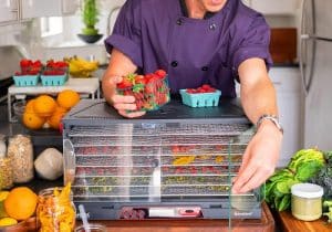 The 7 Best Food Dehydrator 1 best food dehydrator